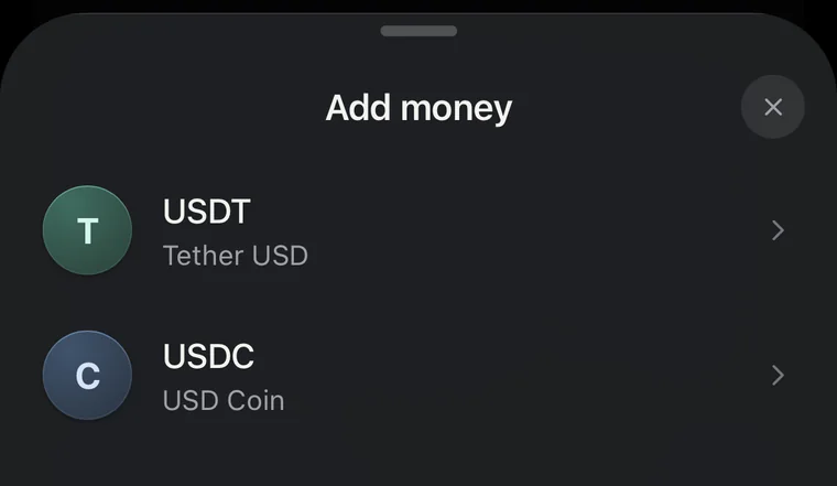 The Add money sheet with USDT and USDC